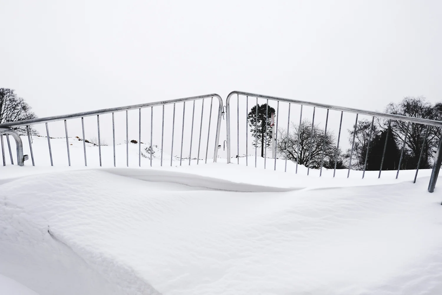 Snowfall-17.jpg
