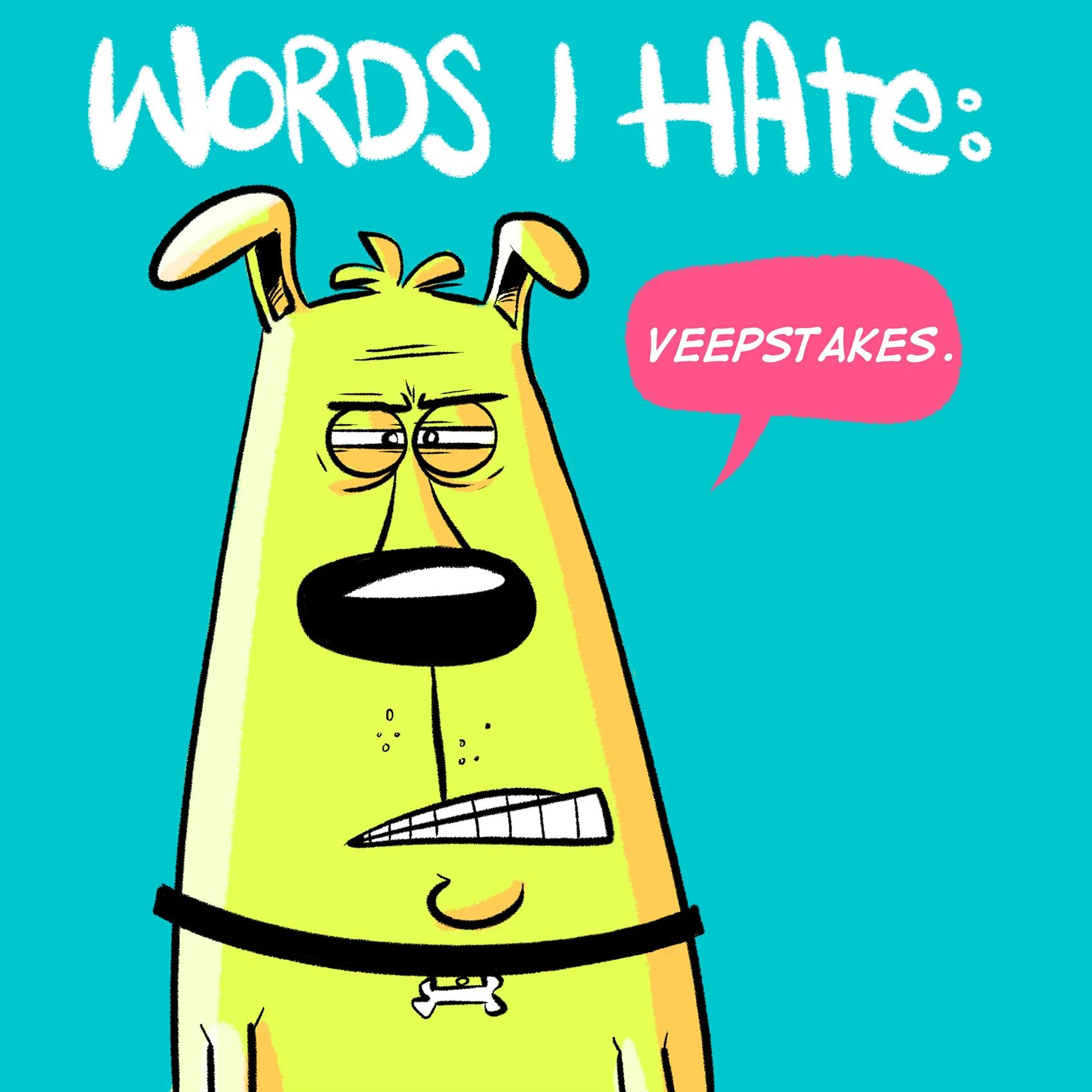 veepstakes.jpg