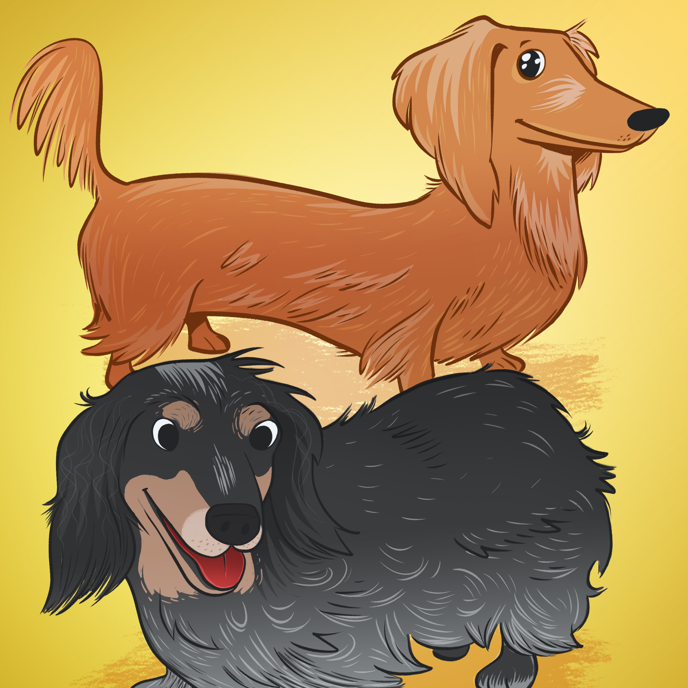 petportrait.jpg