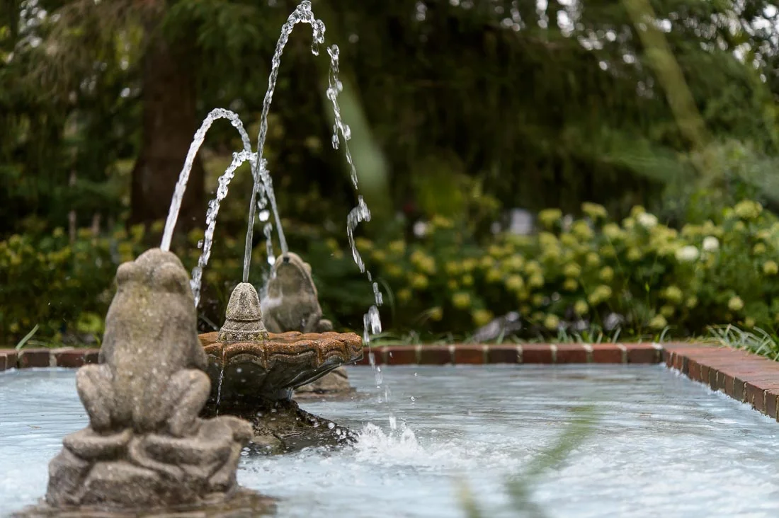 Strategic Social Photography Speaker Kate MacKinnon water fountain w frogs