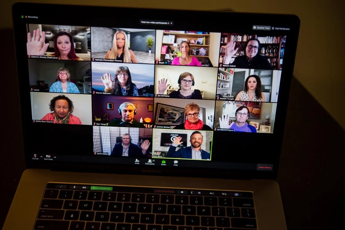 DeMato Virtual Photos Speaker Mark Black online presentation audience shot