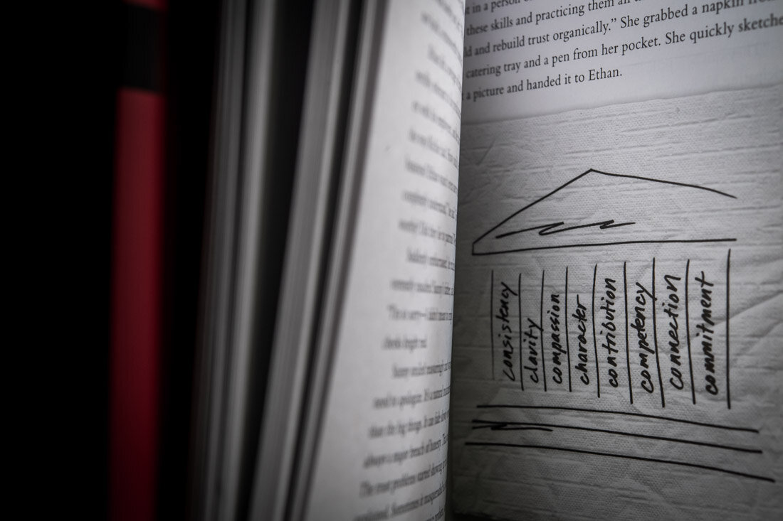 Book Author Photo Speaker David Horsager Trusted Leader 9 pillars illustration