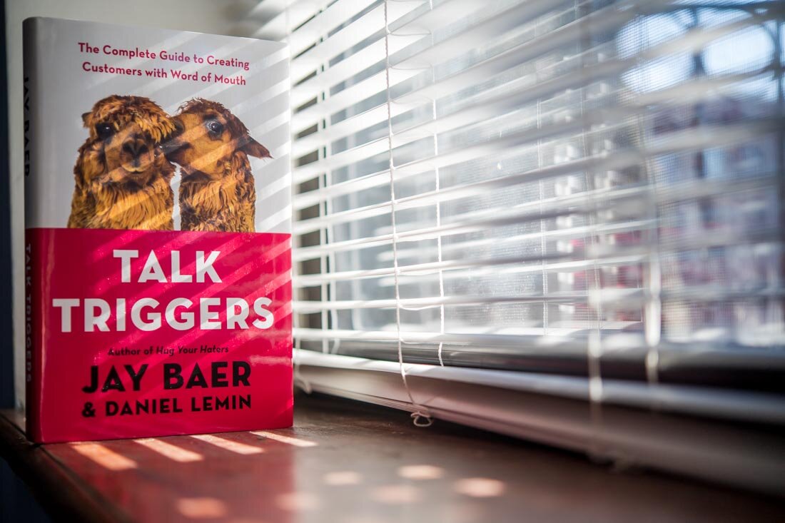 Book photo Author Jay Baer Talk Triggers