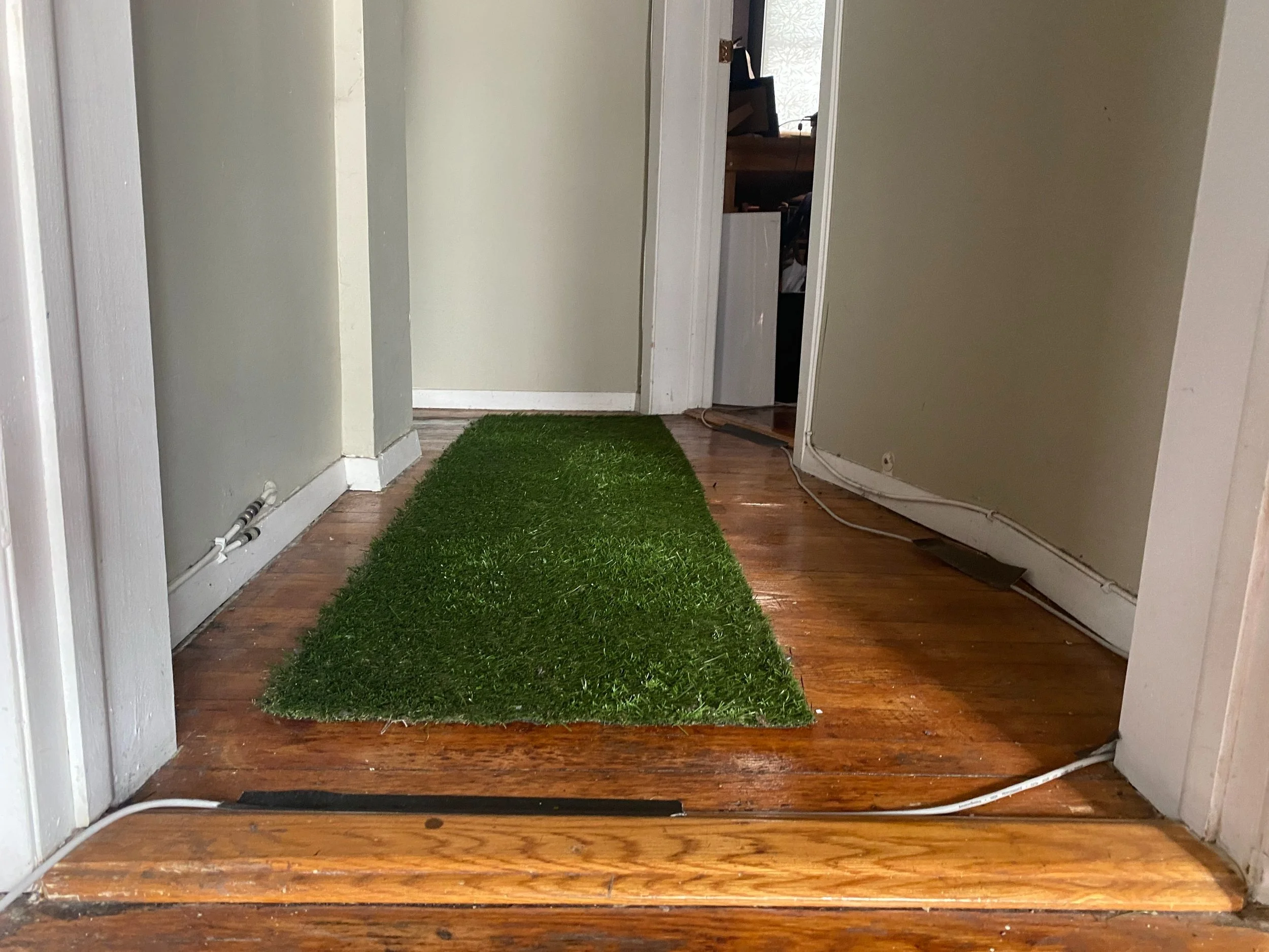 The "grass" is green enough here