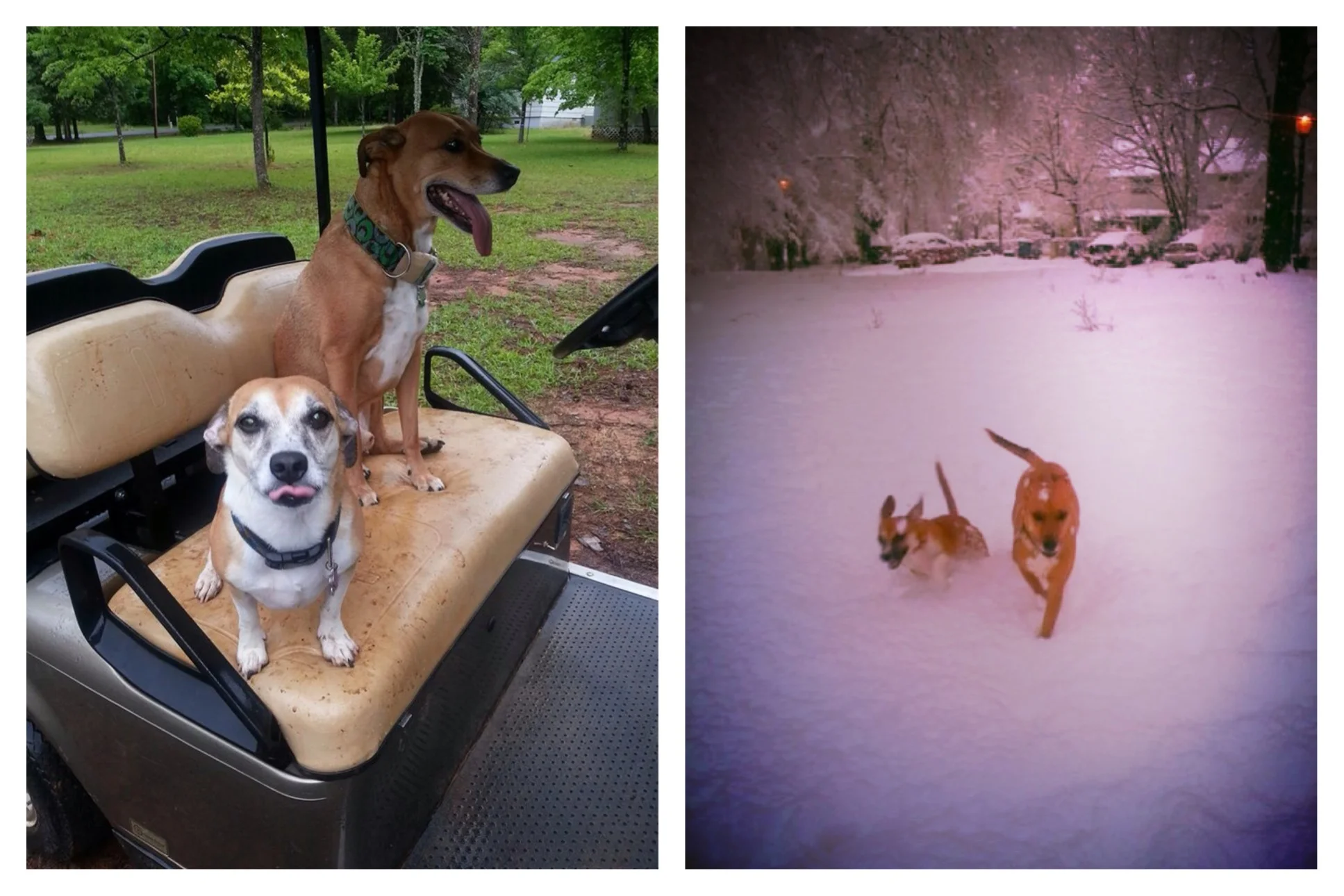 Boo & Lu chillin' at the lake on vacation with their Grammy & having a blast in the snow! 