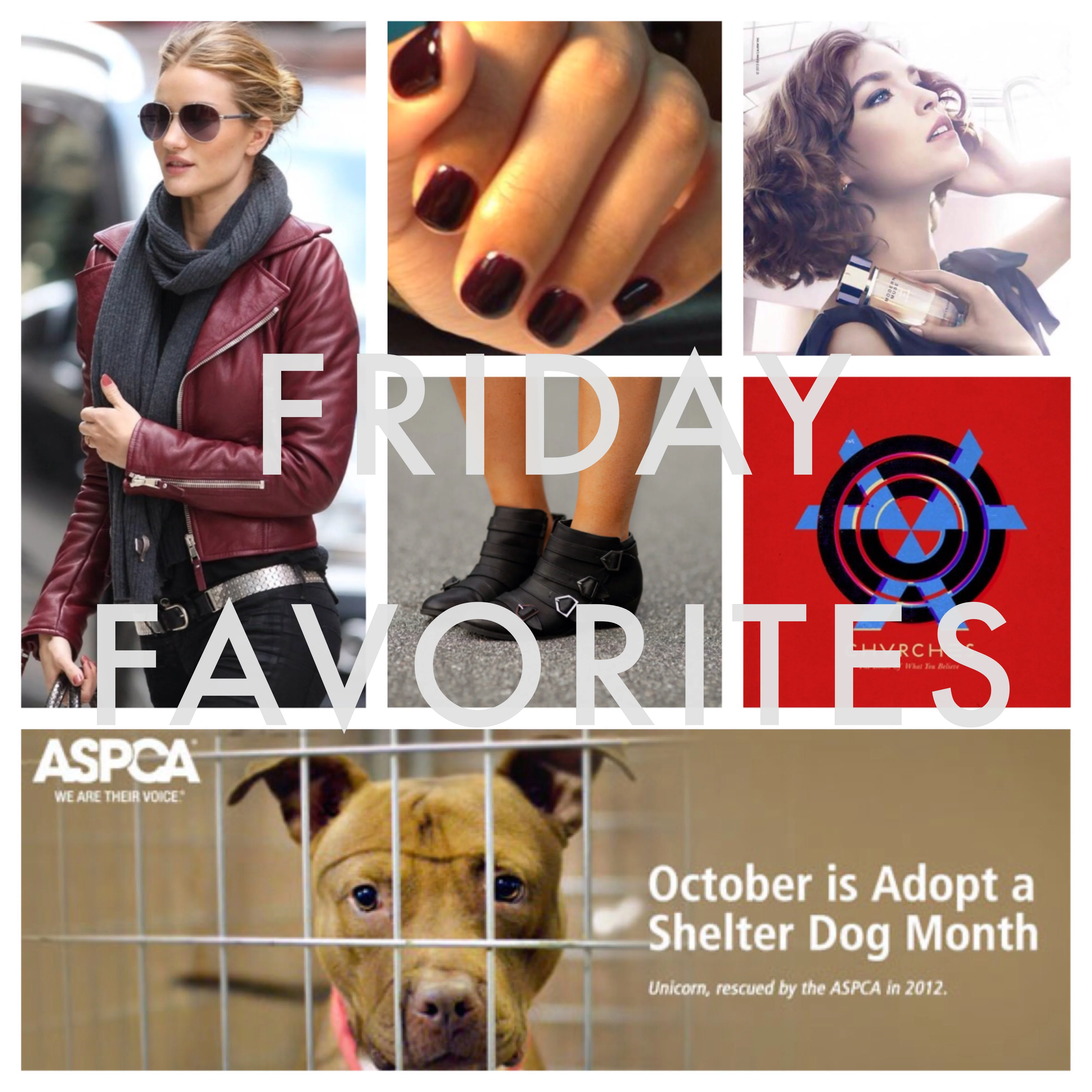 FRIDAY FAVORITES: PAGEBOY STAFF PICKS October 18, 2013