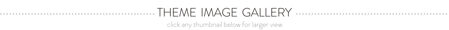 THEME GALLERY.png