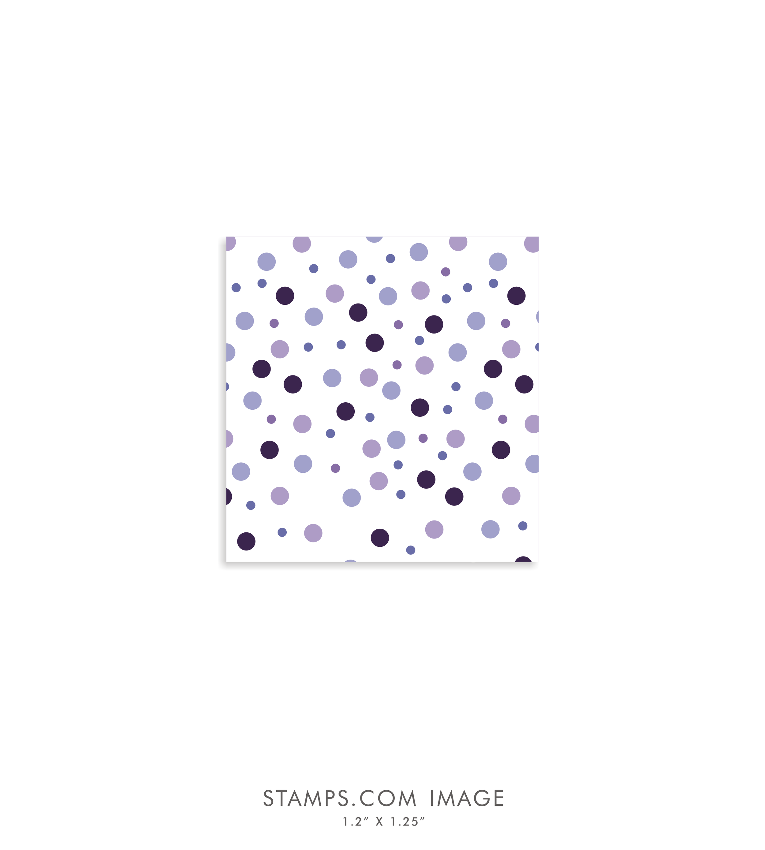 07.png