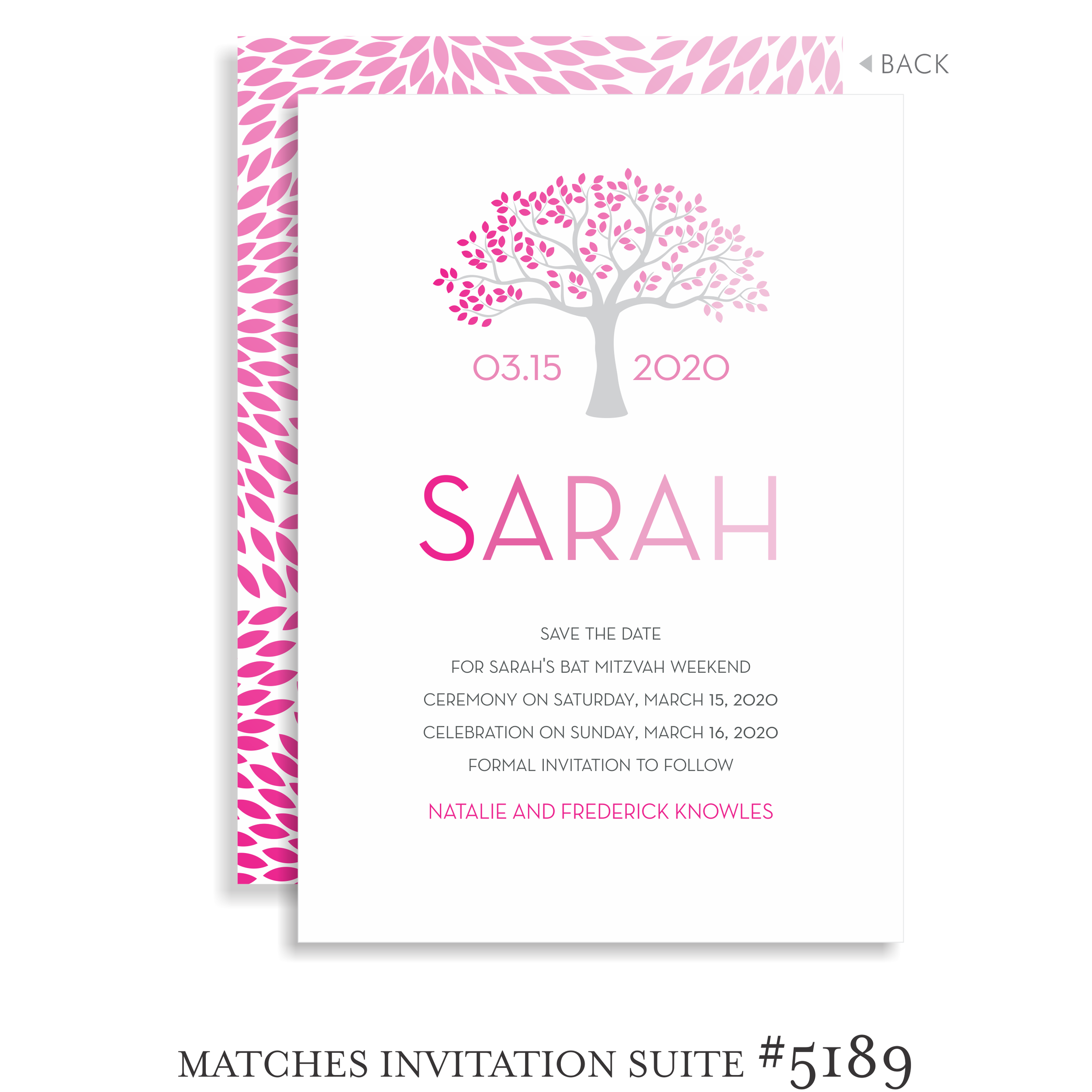 5189-2 DECOR 08.png
