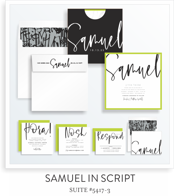 SARAH SCHWARTZ BAR MITZVAH INVITATIONS SUITE 5417-4.png