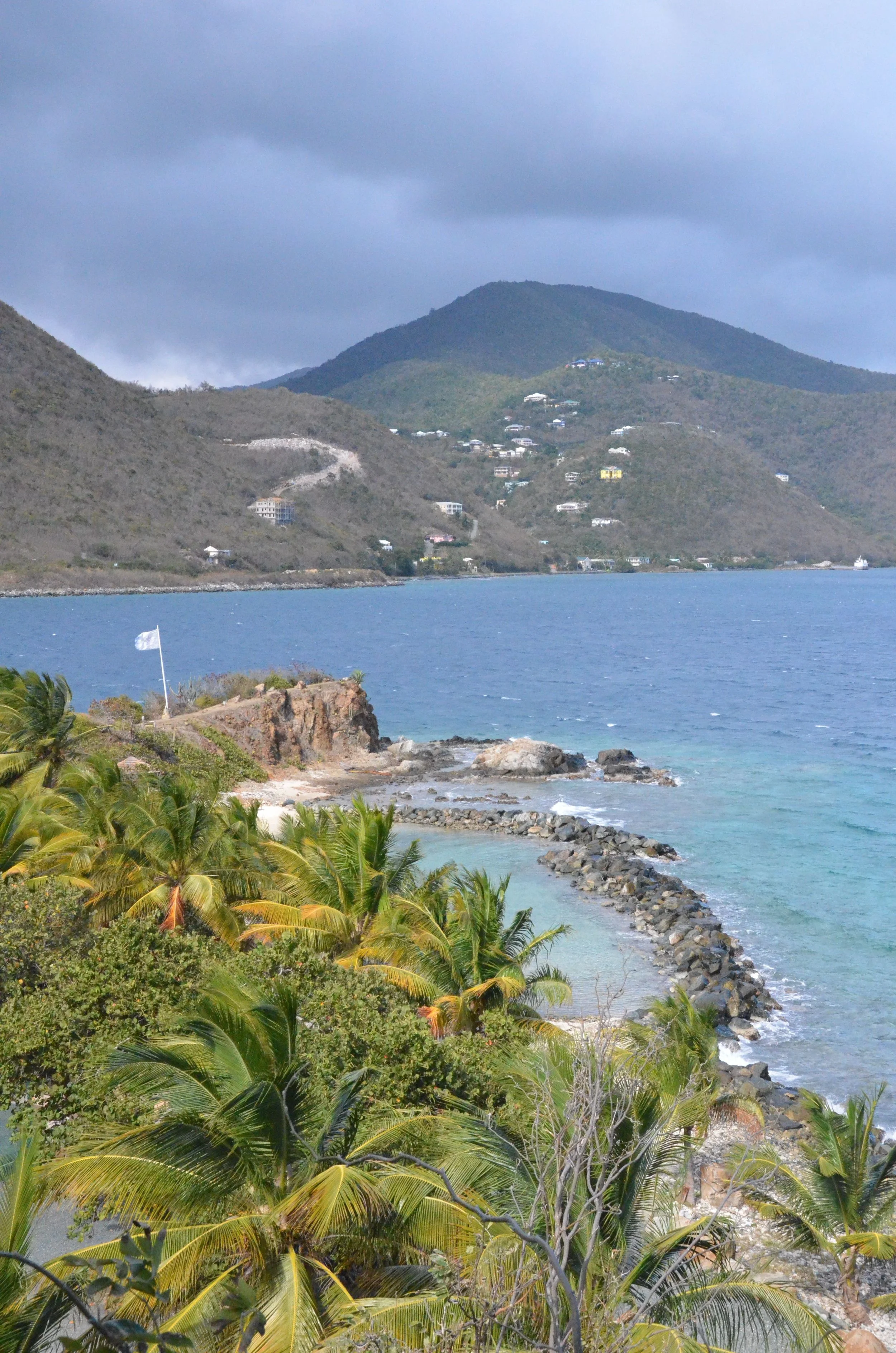 View from Avocado Cottage
