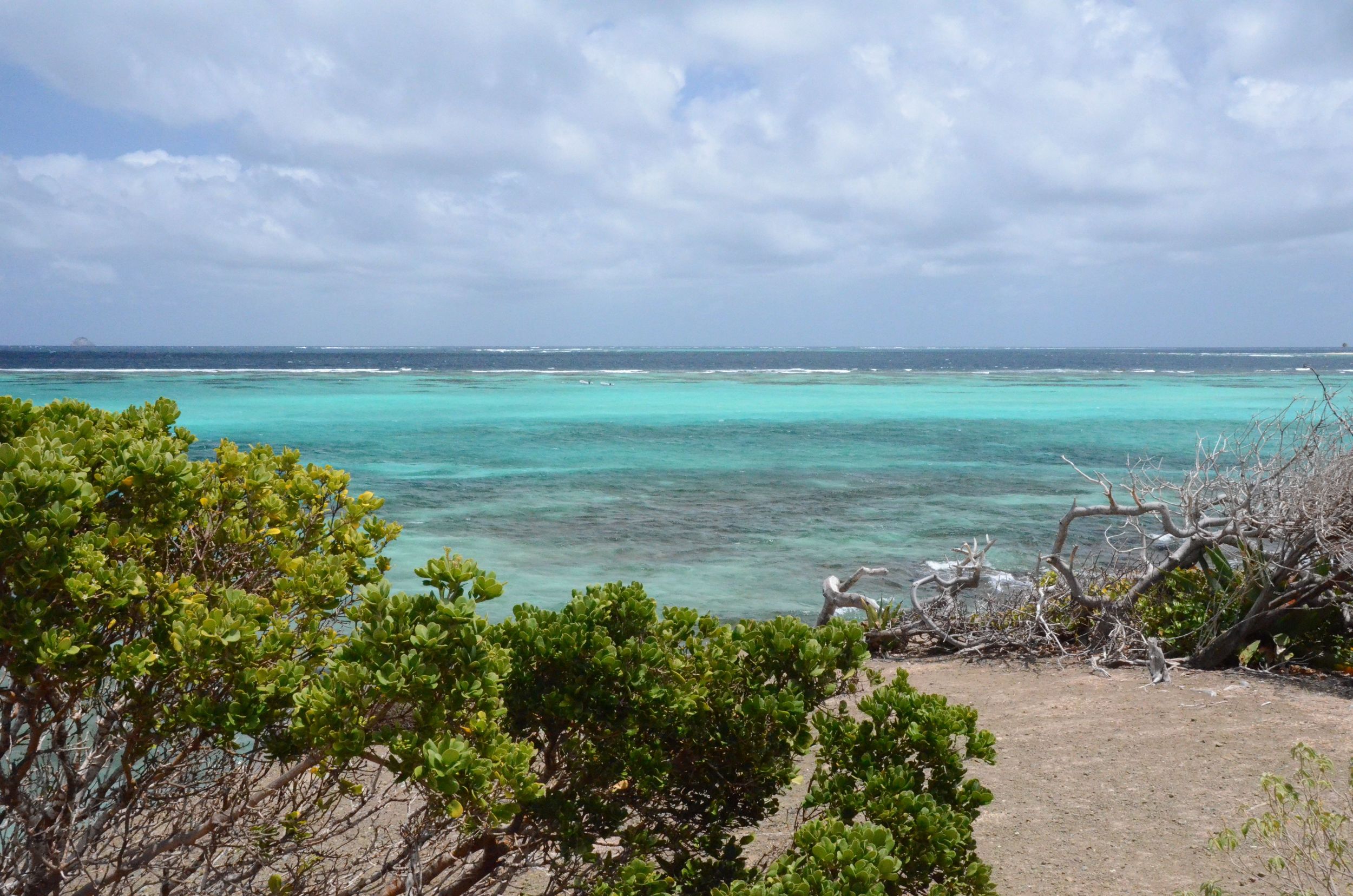 Tobago Cays 4.jpg