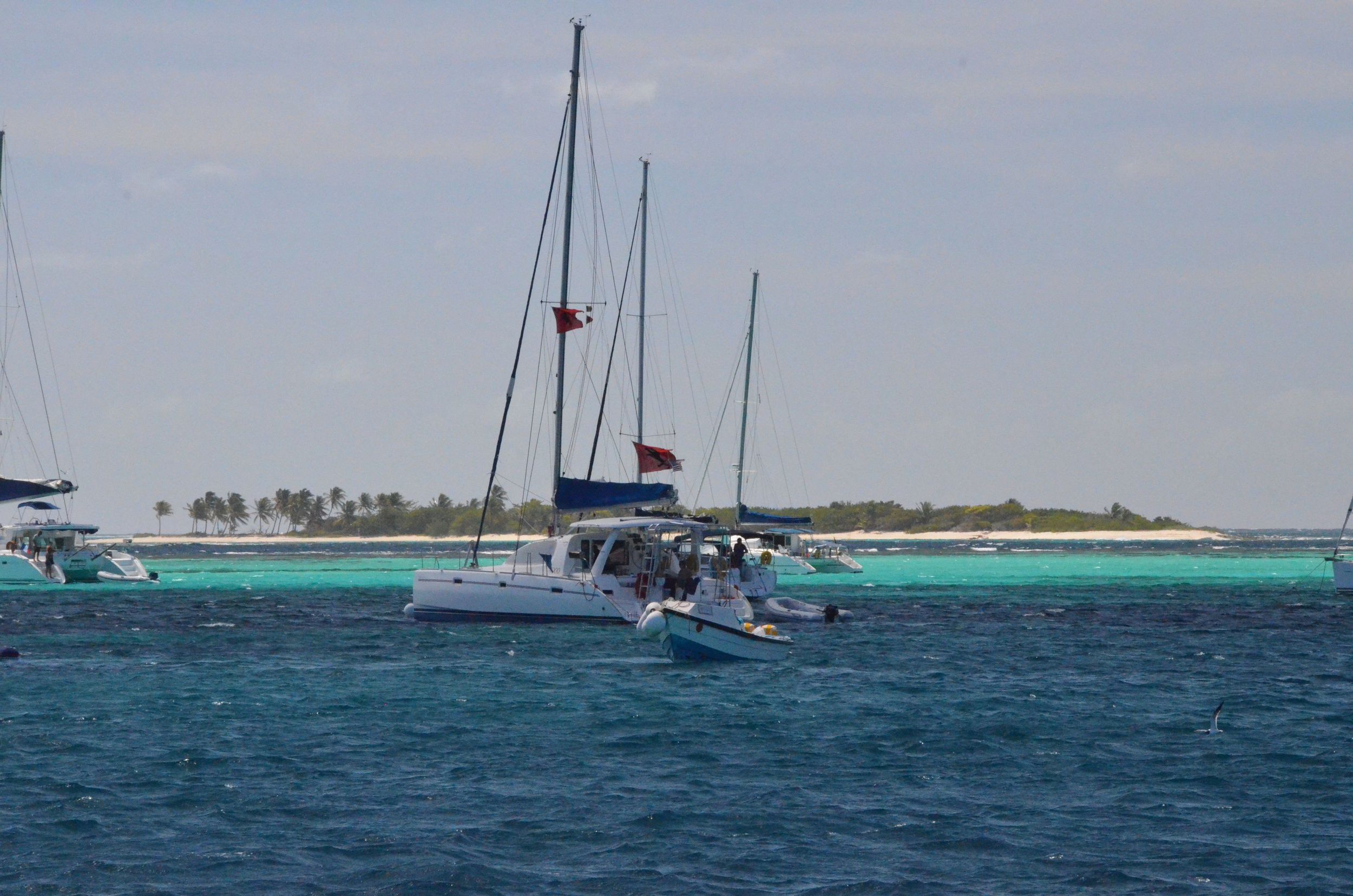 Tobago Cays - boats.jpg