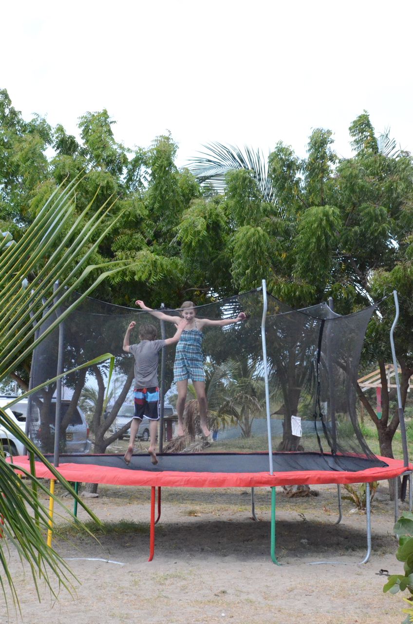 Sunshine's Trampoline.jpg