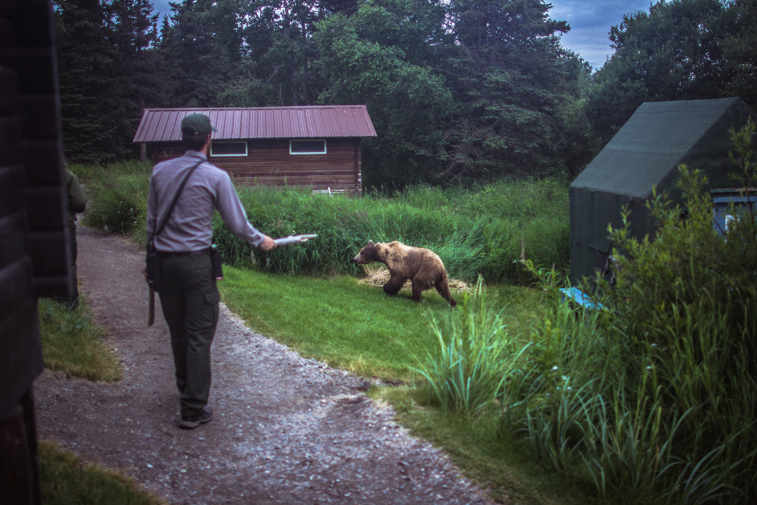 The natural sounds of feet scuffing gravel and branches snapping seem to motivate bears to run away far better than yelling or clapping. 
