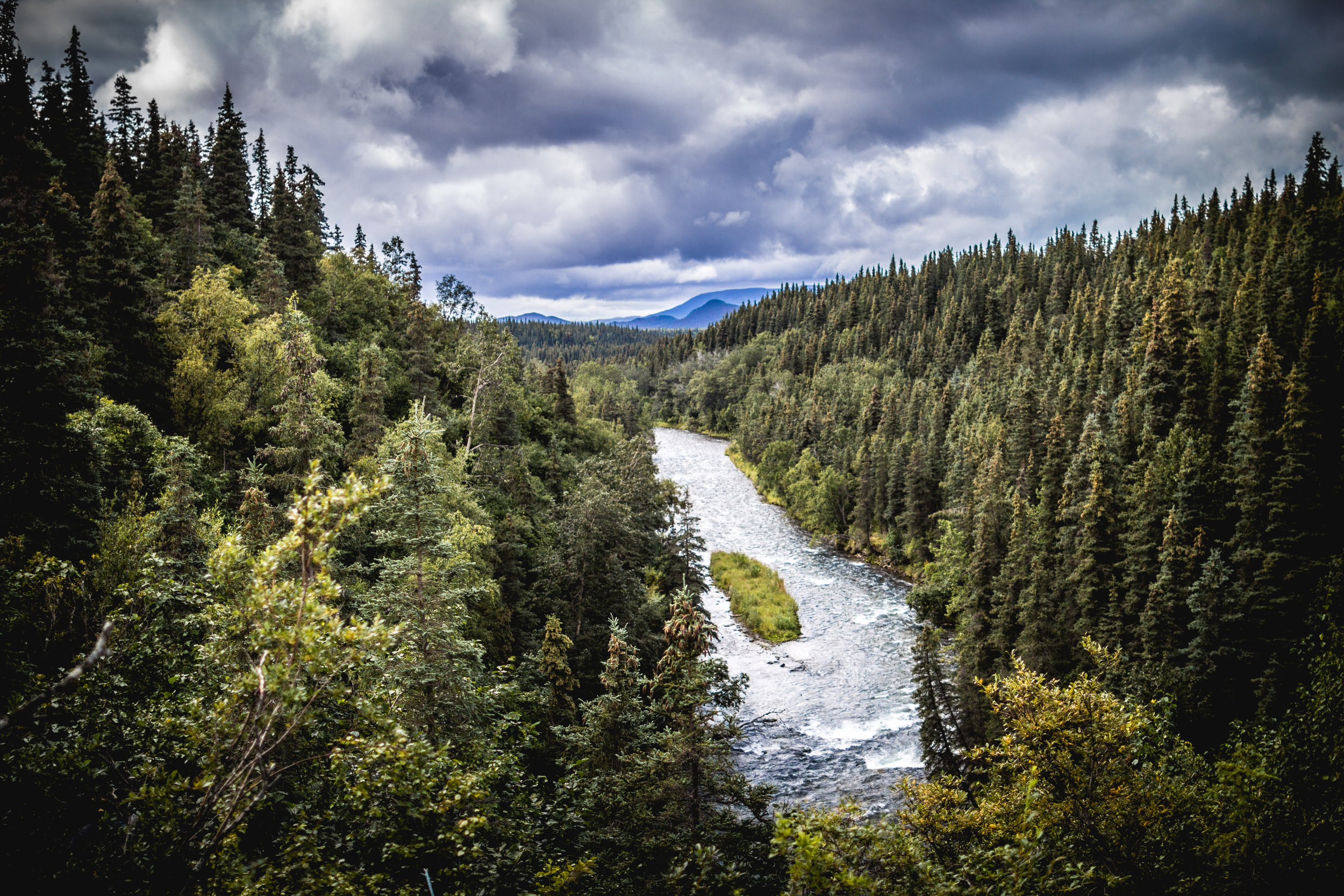 The rivers bring the salmon, the salmon bring the bears, the bears bring the people. 