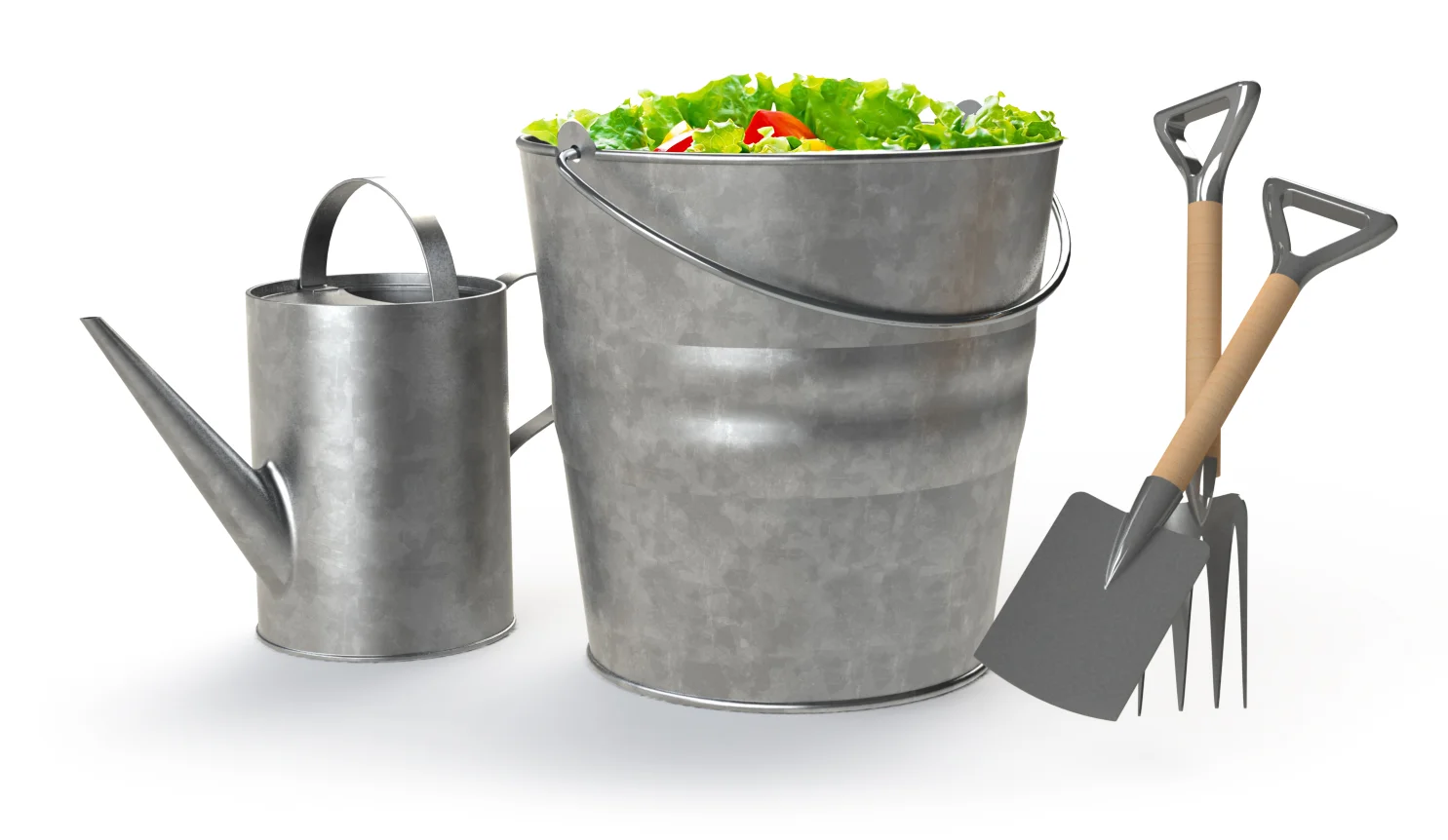 Salad Pail Story FINAL copy.jpg