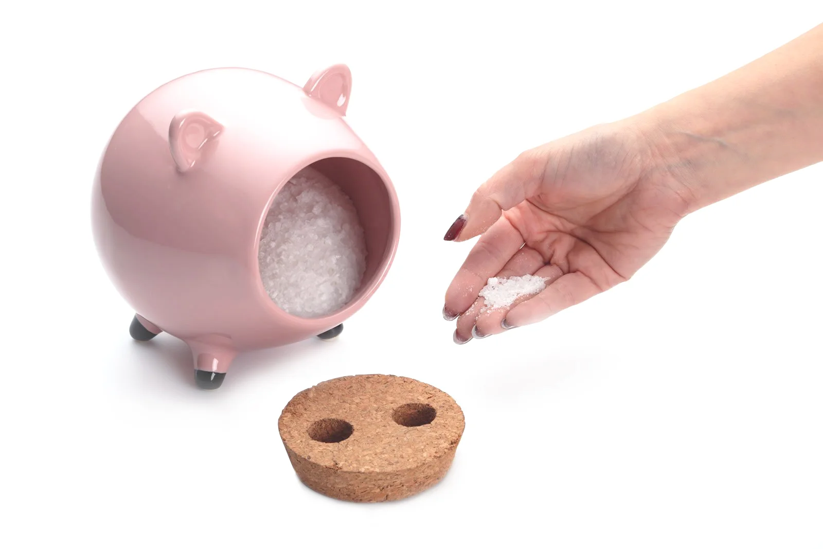 saltpig1.jpg
