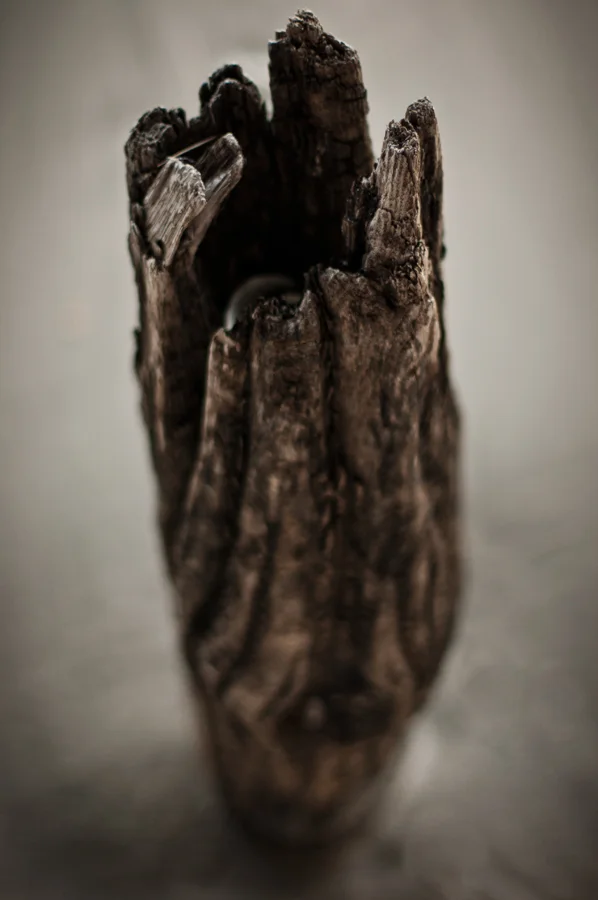 Nature_32_web.jpg