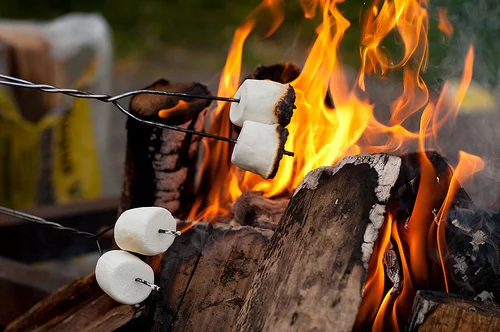 camp fire smores.jpg