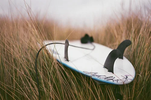 surf grass.jpg