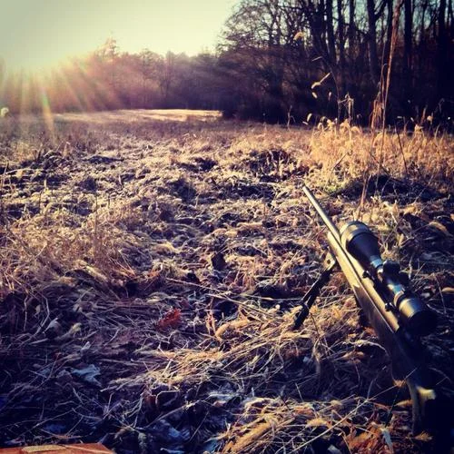 hunting outdoors.jpg