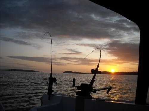 fishing pole sunset.jpg