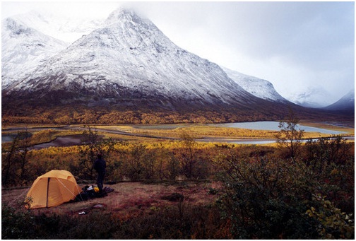 campvibes tent.jpg