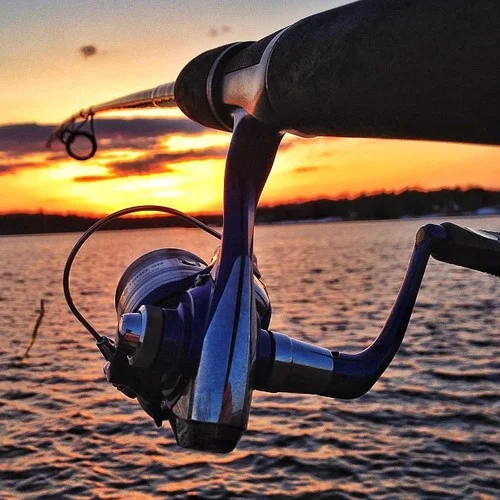 sunset fishing pole.jpg