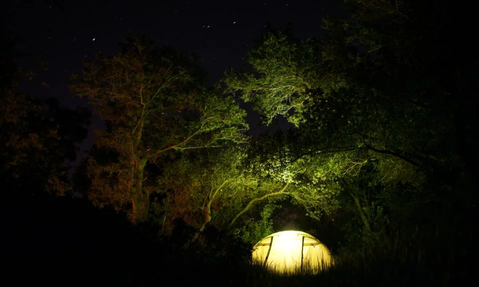 night tent camping.jpg