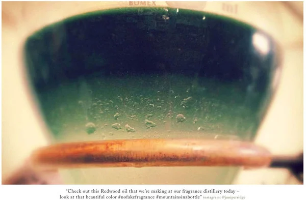 Juniper_Ridge_Story_Book-6_grande.jpg