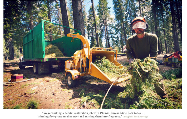 working juniper ridge.jpg