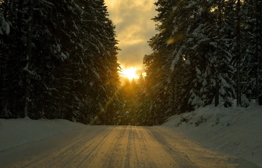snowpath.jpg
