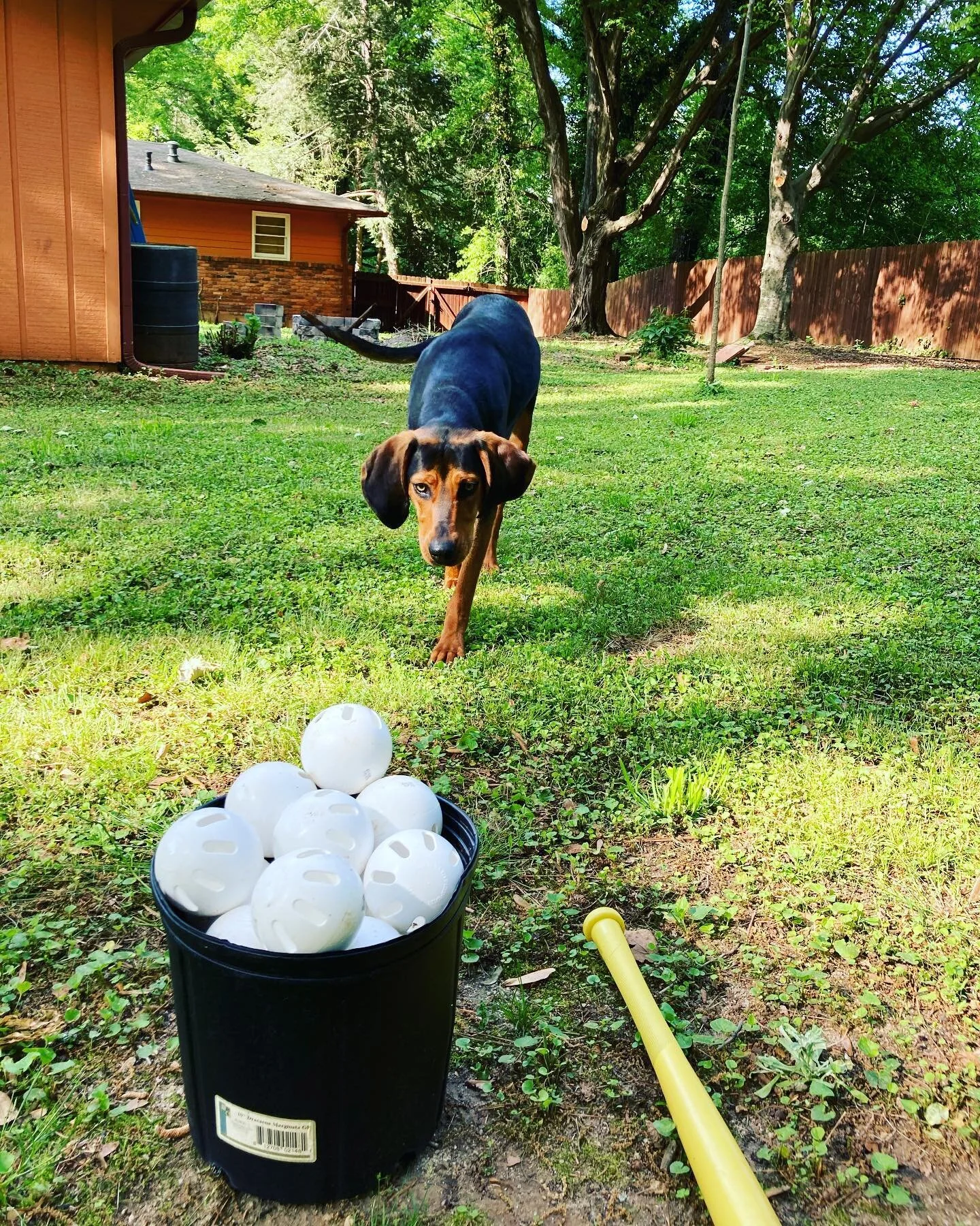 It&rsquo;s wiffle ball season folks