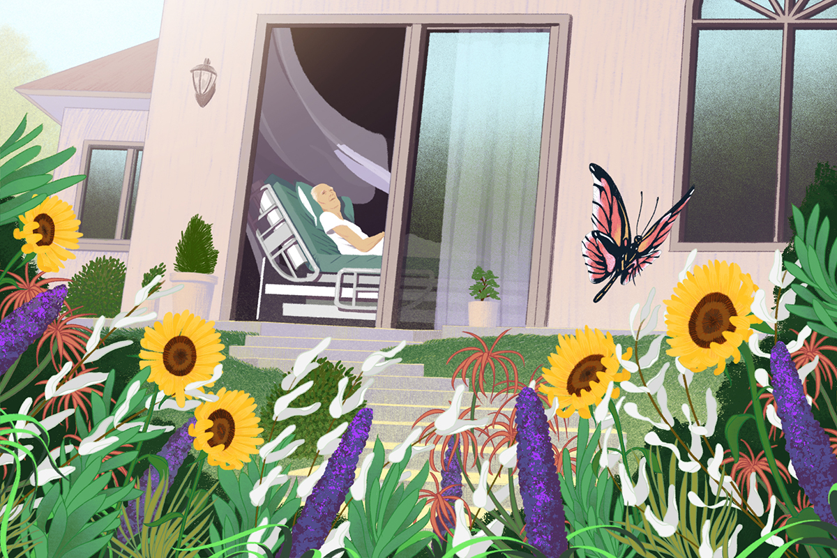 "Home Hospice" - Politico