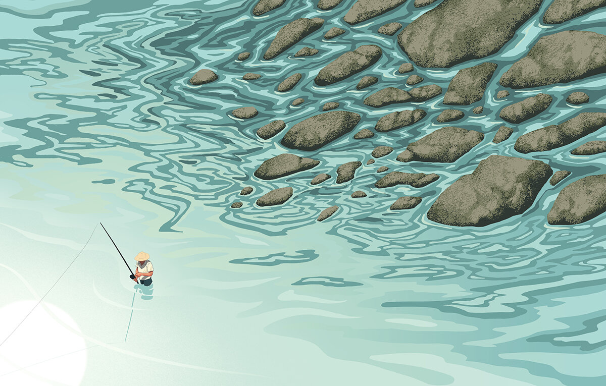 "Lilyfish" - Field & Stream