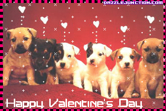 Seriously, how adorable are these puppies ?