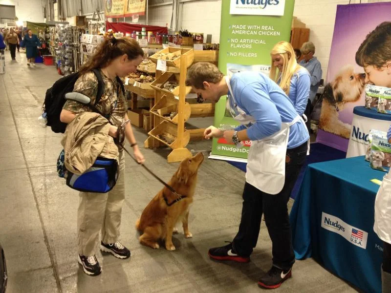 Nudges Dog Treats