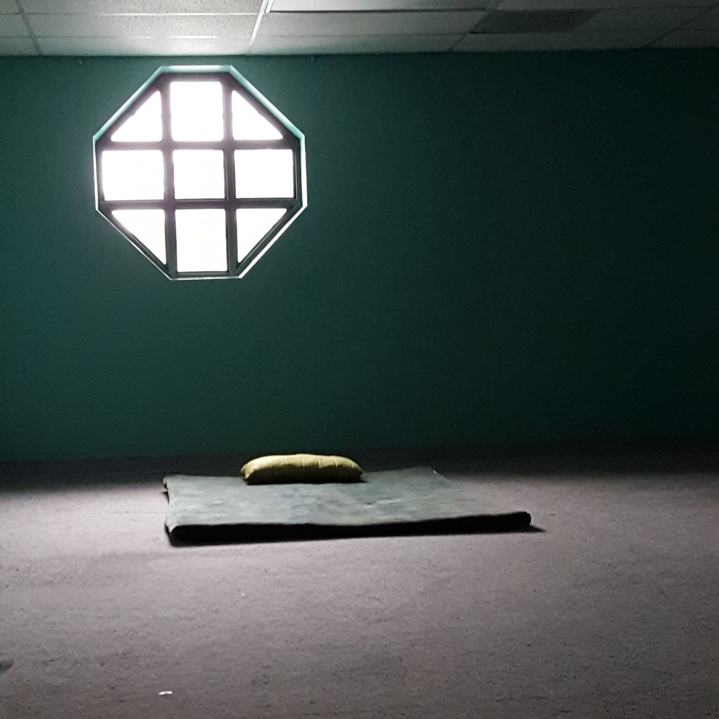 mat in sunbeam.jpg