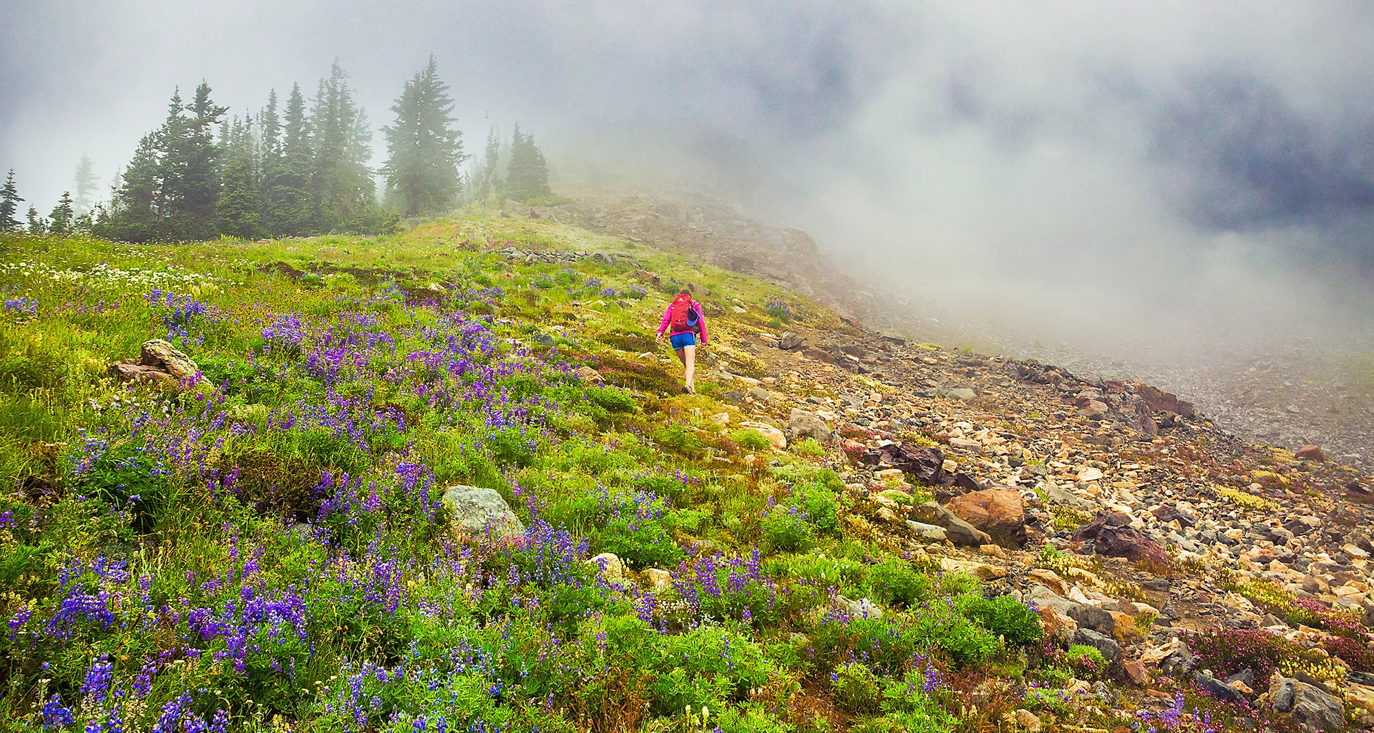Mount Outram-by-brice-ferre-vancouver-adventure-portrait-athlete-photographer