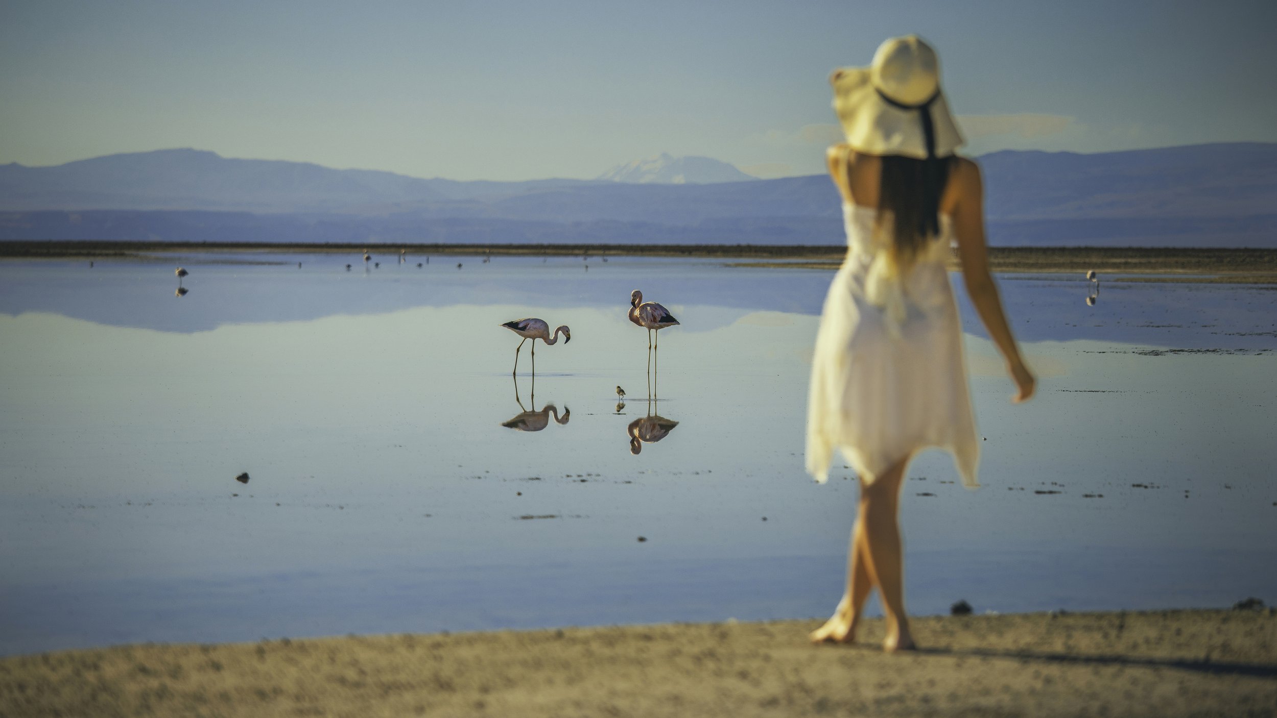 4O1A9686 - Nayara Alto Atacama - Flamingo Lagoon - by Brice Ferre Studio.jpg