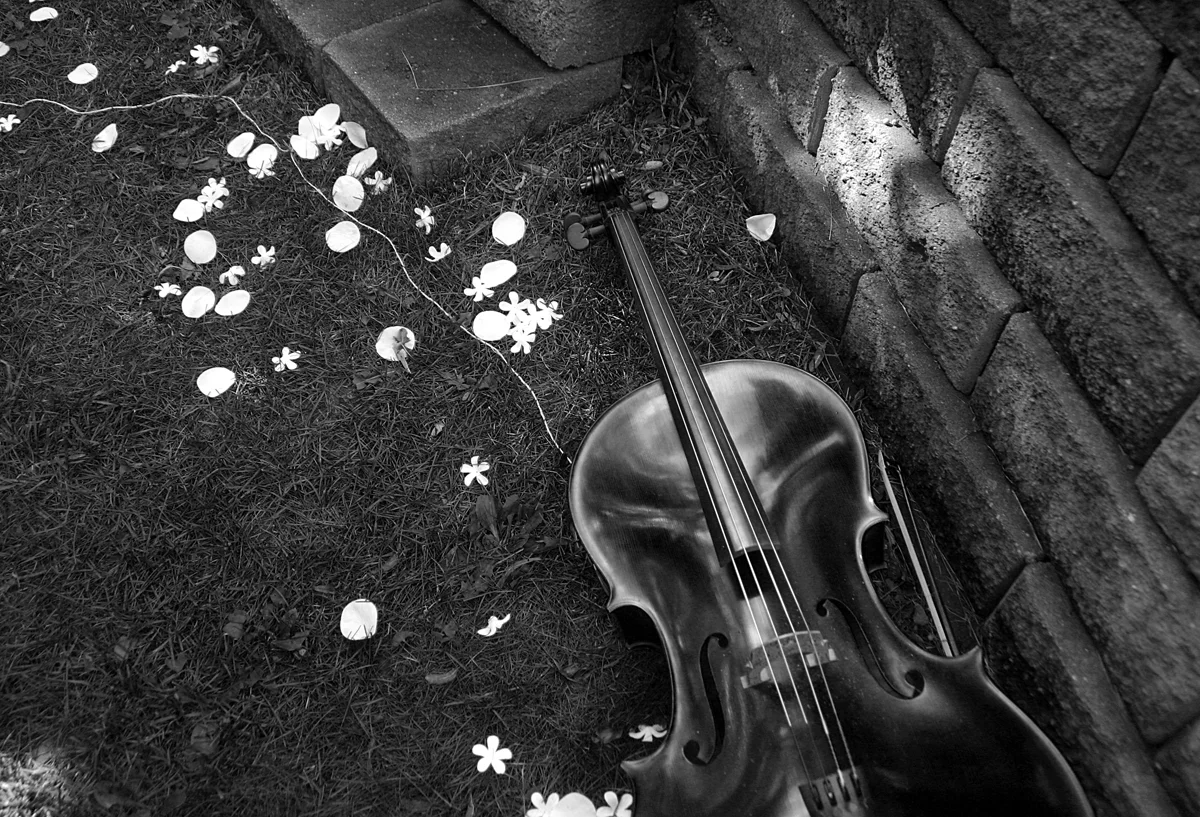 j and t 153 bw.jpg