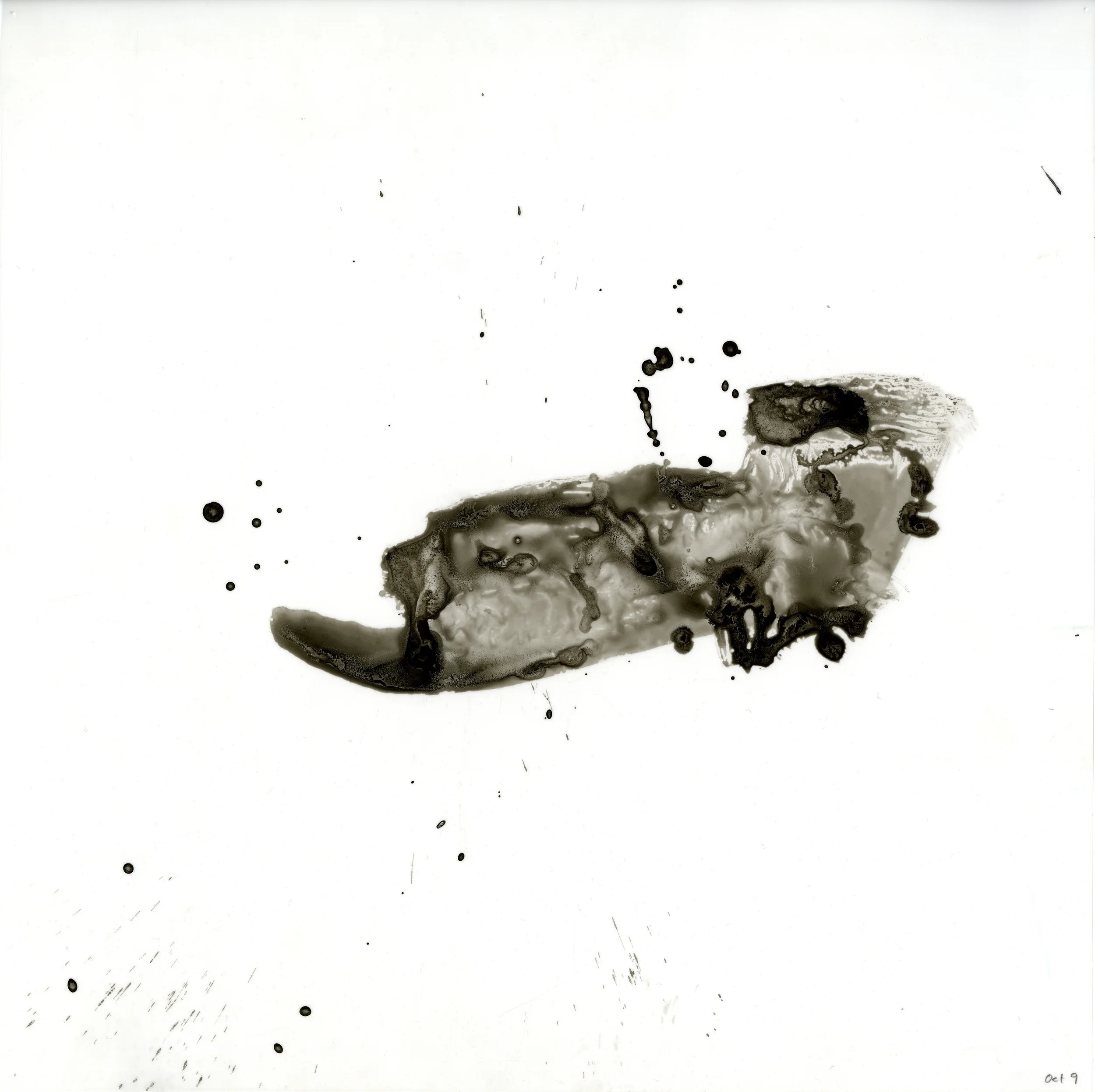 October 9 -London roadkill, fall 2012. Ink on mylar. 12x12"