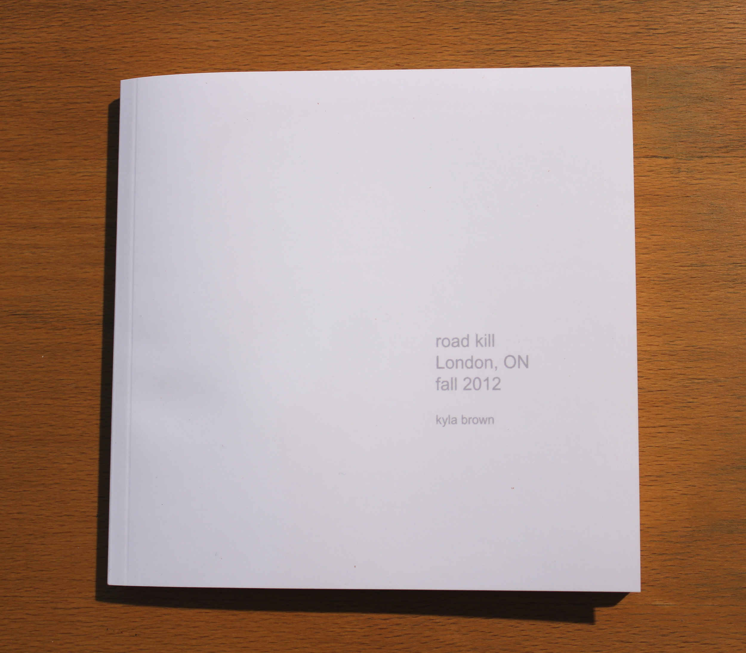 "Road Kill, London, ON, fall 2012" bookwork