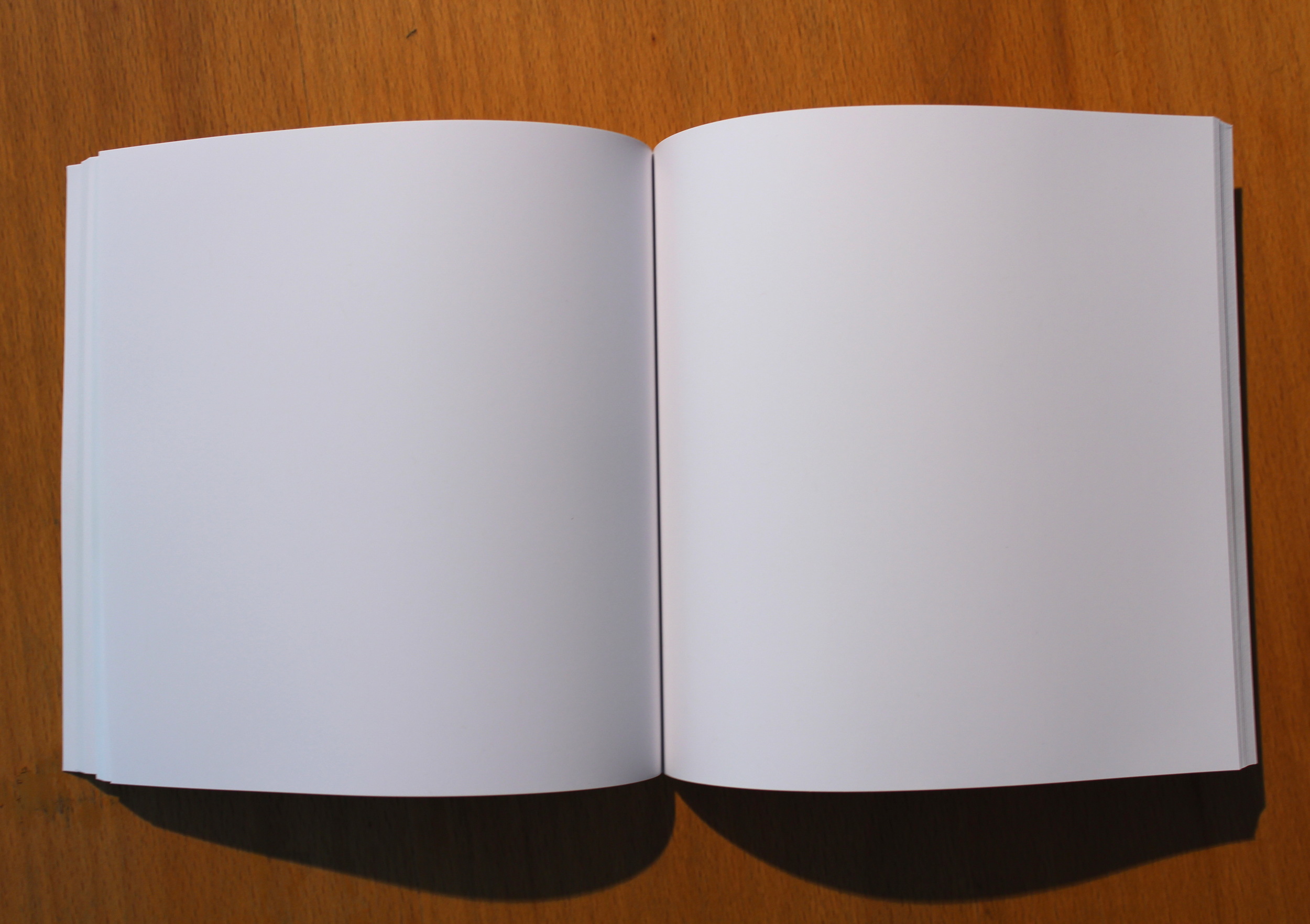 "Road Kill, London, ON, fall 2012: September 30" bookwork detail