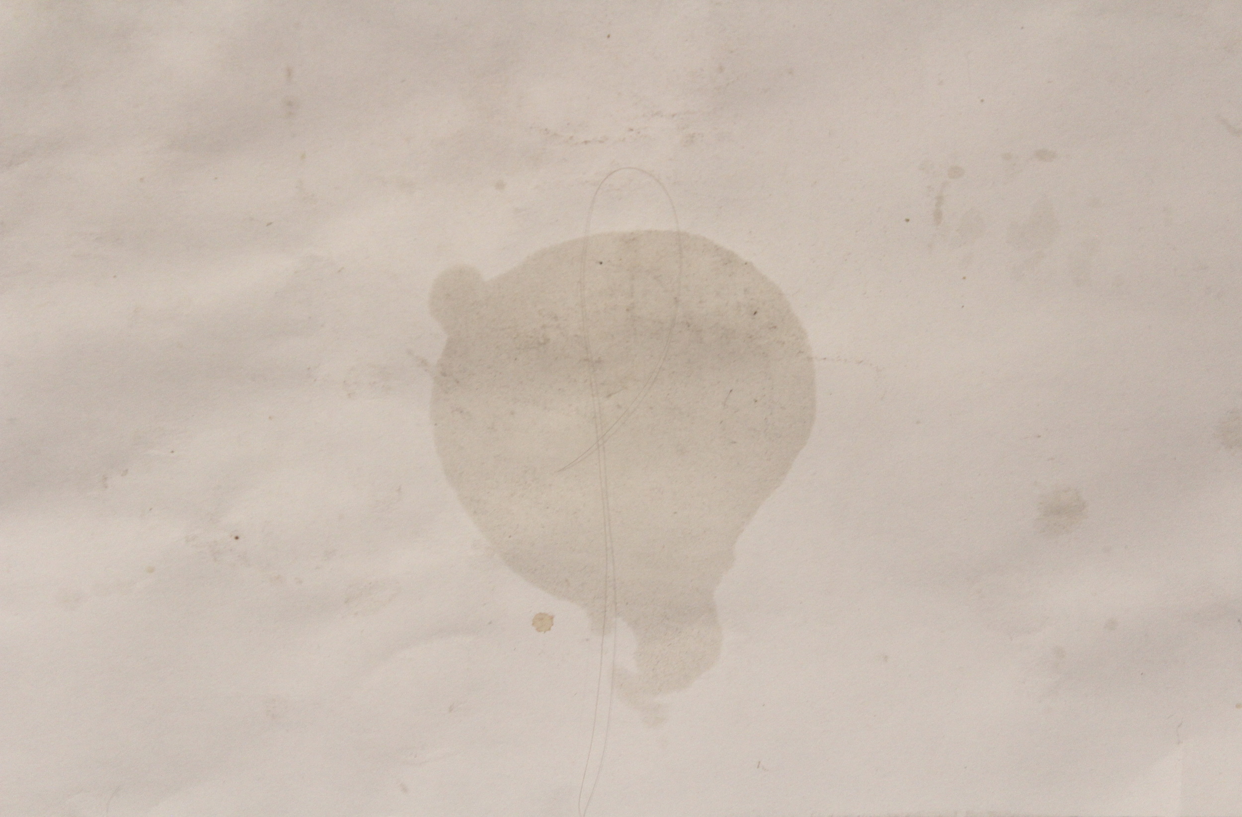 "Floor Plan: kitchen" detail ii