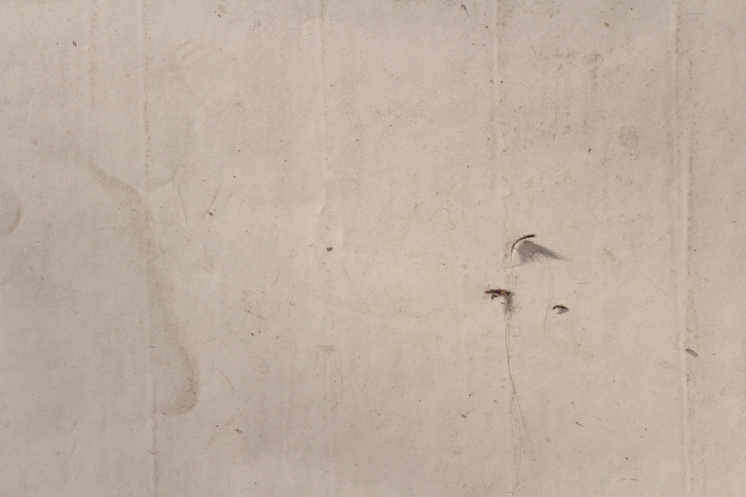 "Floor Plan: bedroom. 518 1/2 Dufferin Ave. (upper), London ON" detail.