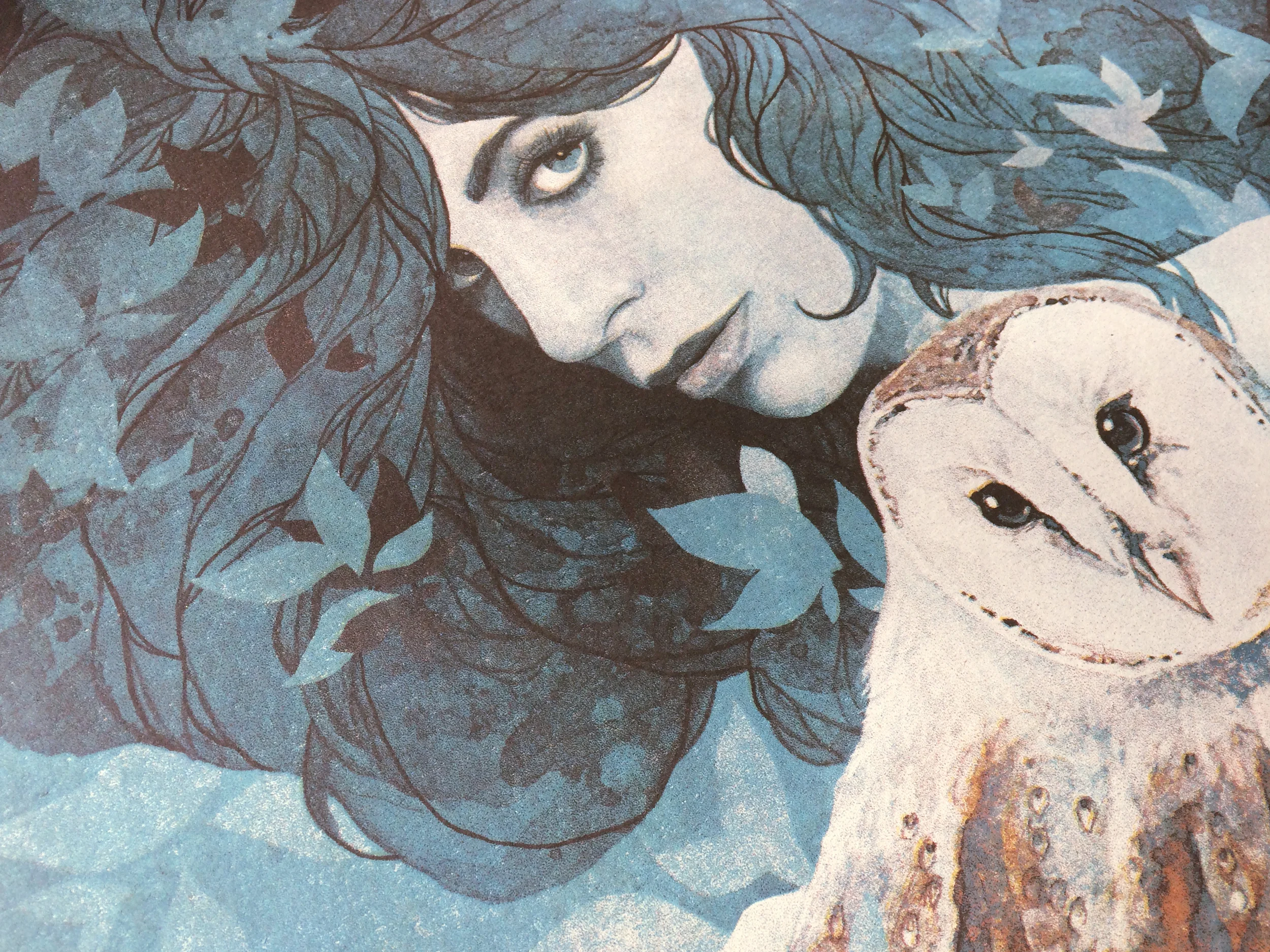  2015 European Tour poster for  Nicole Atkins , supporting Mercury Rev. 30 artist copies available  here .    Medium:  &nbsp;Hand-printed, silk-screen on Off-White French Kraft cover stock   Colors/Layers:  &nbsp;5   Dimensions:  &nbsp;45cm W x 60cm 