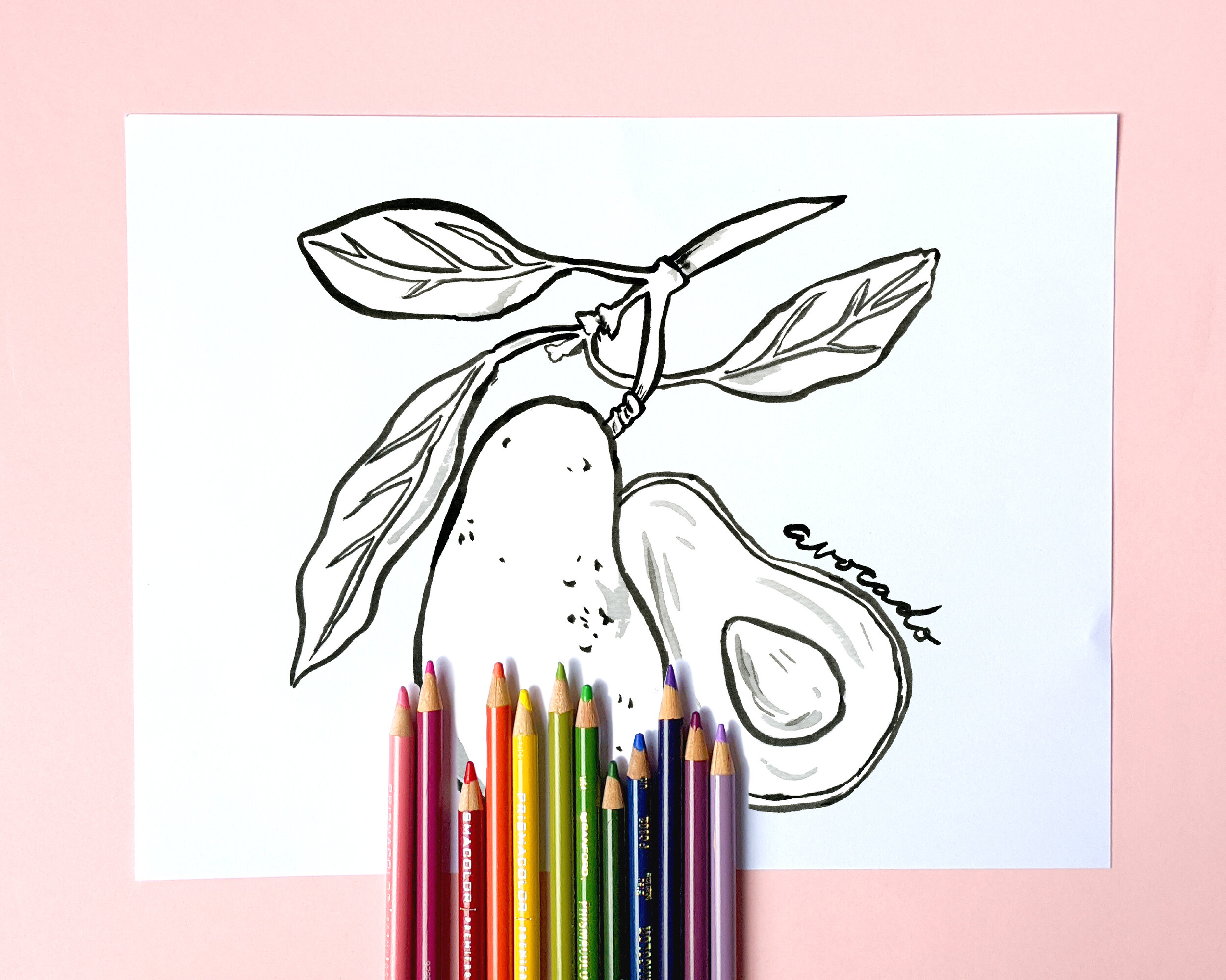 FruitColoringBookMockup_avocado.JPG