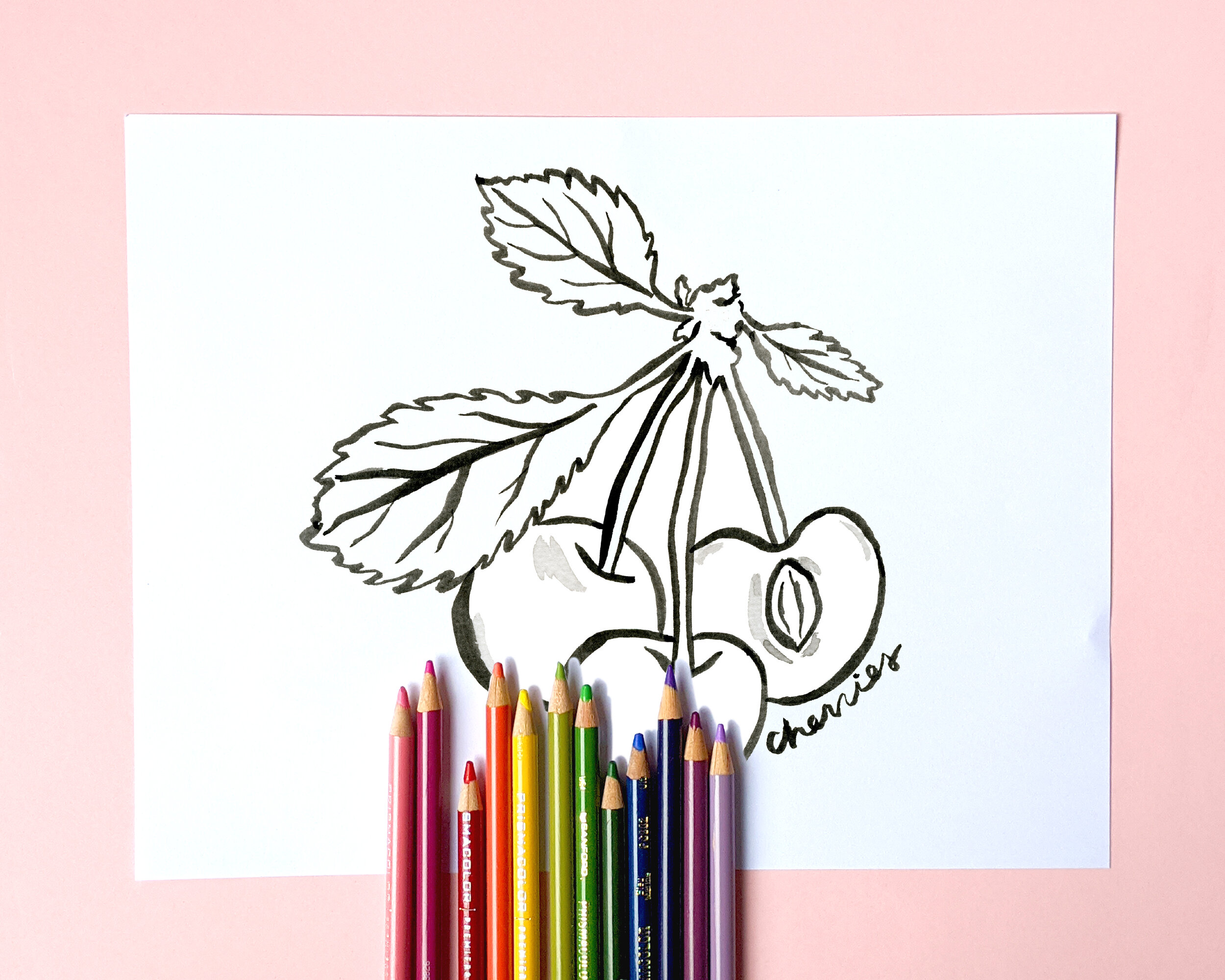 FruitColoringBookMockup_cherries.JPG